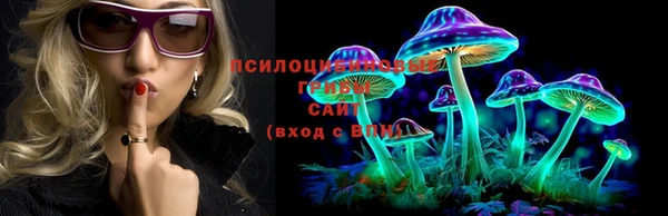 таблы Инта