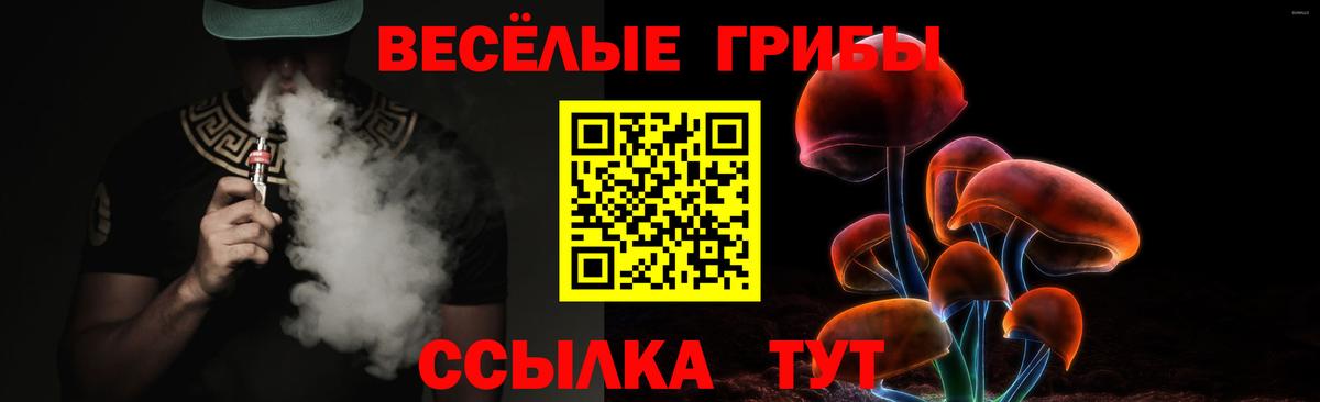 Саянск  Псилоцибиновые грибы мицелий  как найти закладки  Вход с VPN 